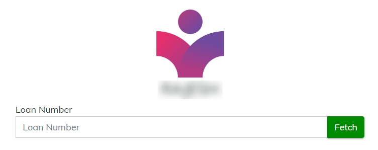 Complex custom payment page with lookup and zero input
